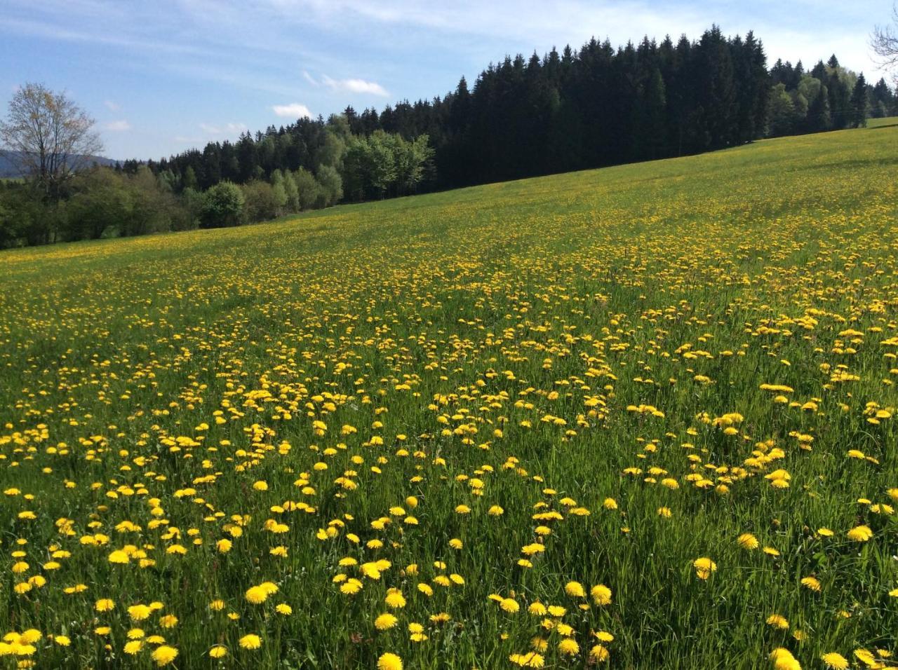 Ferienbauernhof Koller Βίλα Helfenberg Εξωτερικό φωτογραφία